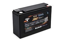 Аккумуляторная батарея литиевая Rutrike LiFePO4 (12V/30Ah/30A BT)