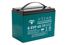 Тяговый аккумулятор RuTrike 6-EVF-45 (12V45A/H C5)