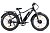 Электровелосипед VOLTECO BigCat Dual Next (Черный-2661)