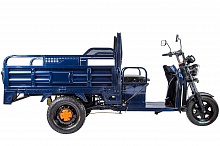 Rutrike D2 1500 60V1000W