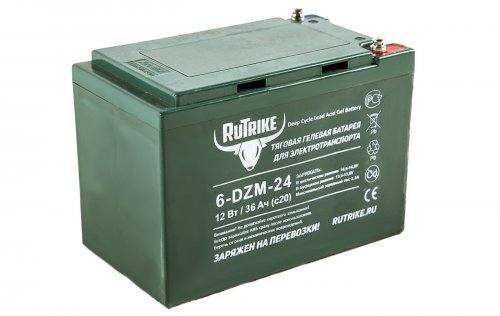 Тяговый аккумулятор RuTrike 6-DZM-24 (12V24A/H C2)