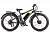 Электровелосипед VOLTECO BIGCAT DUAL NEW (Черный-2307)