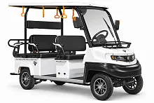 Гольфкар мини Rutrike Venus 60V 1500Вт