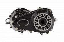 Электродвигатель в сборе с редуктором TRIKE