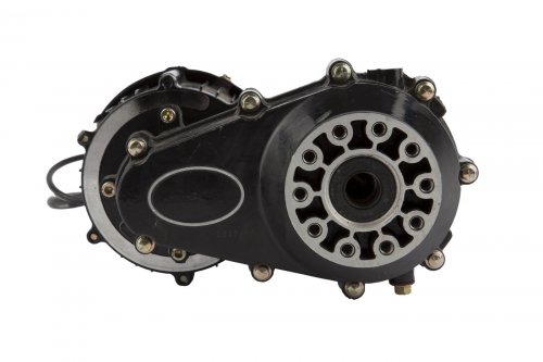 Электродвигатель в сборе с редуктором TRIKE