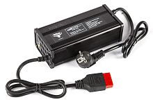 Зарядное устройство интеллектуальное для LiFePo4 аккумуляторов 24V40AH (12А) Anderson