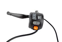 Пульт левый в сборе с рычагом Wanshida